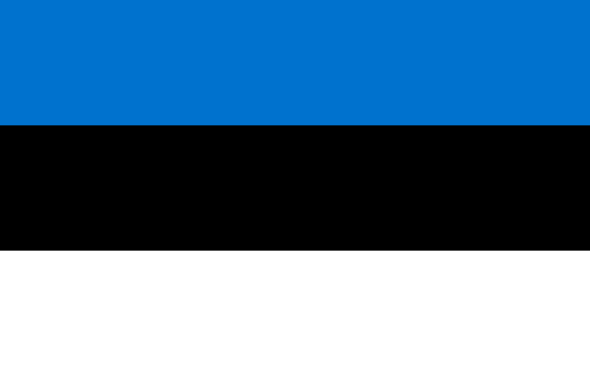 Flag of Estonia Tattoo Merchandise Shop